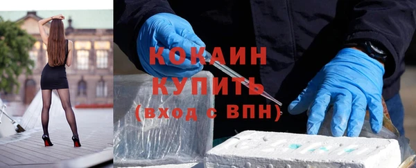 молекула духа Гусев