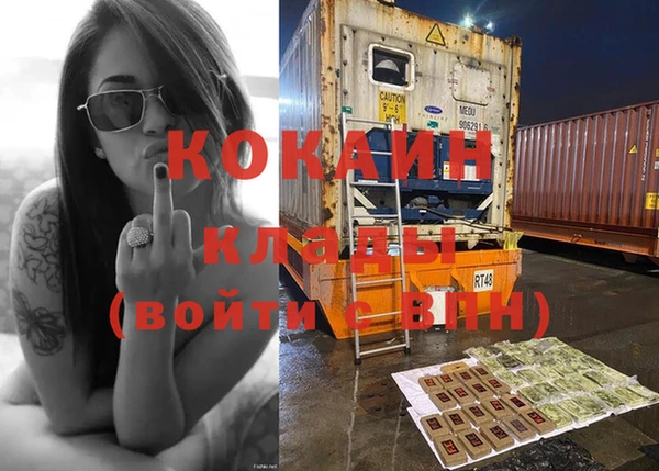 молекула духа Гусев