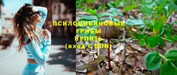 ешки Гусь-Хрустальный