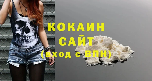 молекула духа Гусев