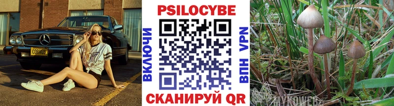 Галлюциногенные грибы ЛСД  Гвардейск 